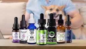 The cannabinoids provide relief by interacting with the endocannabinoid system wherein the receptors run. Best Cbd Oil For Dogs Our Top Picks How Do Dogs Benefit From Cbd Oil Events The Austin Chronicle