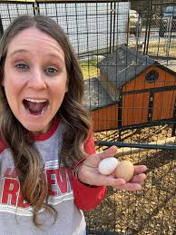 First time chicken momma found her eggs today