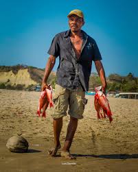 Luis Donaldo Lopez Vazquez (@luis_donaldo057) · Instagram 照片和视频