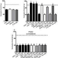 Pain threshold was obtained in the rat paw pressure test, before...
