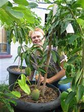 Check spelling or type a new query. Dwarf Fruit Trees