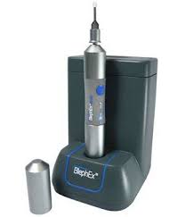 Image result for Blepharis buchneri