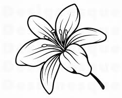 Lily Flower 2 Svg Lily Flower Svg Lily Svg Flower Svg Etsy In 2020 Lilies Drawing Flower Drawing Flower Clipart