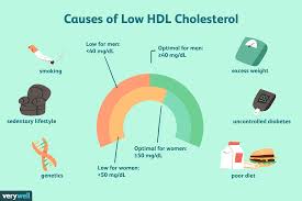 What Causes Low Hdl Cholesterol Levels