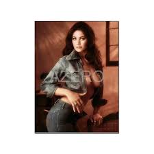 Amazon.com: GIISH Lynda Carter Poster Sexy Star Actress Poster Canvas  Painting Posters And Prints Wall Art Pictures for Living Room Bedroom Decor  24x32inch(60x80cm) Frame-style: Posters & Prints