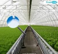 Greenhouse Fogging System | Truemisting System