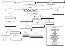 Evidence Of Evolution Worksheet Answers Luxury Evidence Evolution Worksheet In 2020 Evolution Concept Map Teaching Biology Biology Worksheet