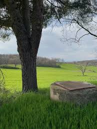Estate for sale, castle, azienda vitivinicola, farmhouse, villa, hotel and. Tales Of Abandoned Italian Villas For Sale