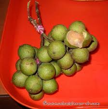 The book frutas en republica dominicana is a visual exhibition that exposes the country's fruit culture's vitality throughout the small island nation. Tamarindo Archives Guide To The Colonial Zone And Dominican Republic