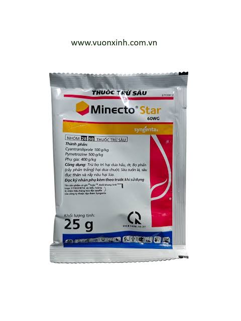 Minecto® Star 60WG