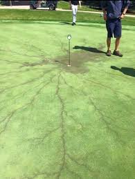 What i found with really nervous putts is that such a better way of keeping the right hand quieter. Rick Shiels Pga On Twitter This Is What Happens When Lightning Strikes The Flag On The Golf Course Not My Pic