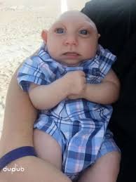 Jank Boteko: Humorous TikTok Duet Experience