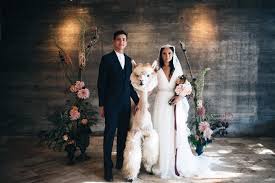 Modern Vintage Wedding Ideas With Three Adorable Alpacas Modern Vintage Weddings Wedding Vintage