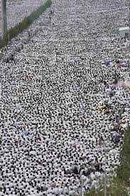Dalam hitungan hari wukuf di padang arafah segera dilangsungkan. Wukuf Di Padang Arafah Berita Harian