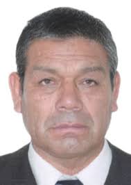 Propiedades de Otorongos Elecciones 2022