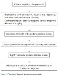 Acute injury of the myocytes (acute myocarditis) and to activation of the host's. Scielo Brasil I Diretriz Brasileira De Miocardites E Pericardites I Diretriz Brasileira De Miocardites E Pericardites