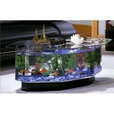 Aquarium coffee table plans image and description. 22 Different Types Of Fish Tanks Buying Guide Home Stratosphere