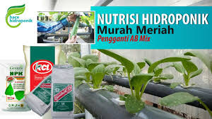 Setidaknya ada 6 teknik hidroponik yang bisa anda praktikkan sendiri di rumah. Membuat Nutrisi Hidroponik Tanpa Ab Mix Murah Meriah Kualitas Sama Youtube