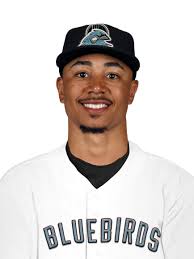 Meet the Bluebirds: Nashville's ultimate all-star baseball team