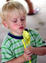 Westby Times Weekly Photo