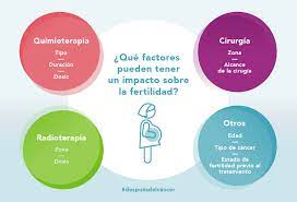 Buscando El Embarazo Despues Del Cancer Despresdelcancer