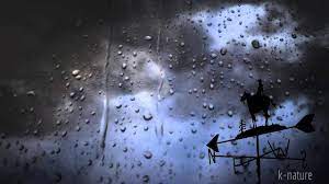 Cm fm eb g/d je remue le ciel le jour, la nuit cm fm eb g/d je danse avec le vent la pluie cm fm eb g/d un peu d'amour un brin de miel. Pluie Tonnerre Et Vent Fort La Nuit Soulage Le Stress Sommeil Reparateur Relaxation Etude Youtube