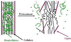 Image armor, llc is proud to announce that the complete line of image armor pretreatment products are in compliance with the 2008 consumer product safety improvement act. Pretreatment Effects On Cellulose Hemicellulose And Lignin 6 Download Scientific Diagram