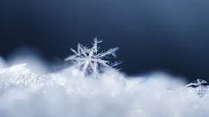 Break the stress cycle and rejuvenate the mind with a range of motion art therapy videos for personal and commercial use. Free Download Excellent Snowflake Desktop Wallpaper Snowflakes 1366x768 Wallpaper Teahub Io