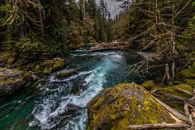 Olympic national park cabins, lakeside chalets, and restaurant make this an oasis on the shores of lake crescent. Staircase Rapids Washington Trails Association