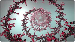 Image result for Nucleic Acid