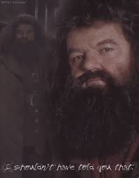 I Shouldn T Have Told You That Hagrid Harry Potter Professors Harry Potter Memorabilia Harry Potter