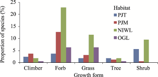 Image result for Monothecium glandulosum