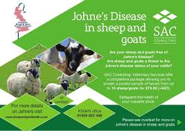 Goatvet Likes This Brochure About Johne S Disease College Brochure Goat Health Disease