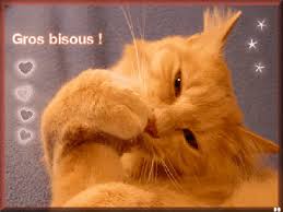 RÃ©sultat de recherche d'images pour "gros bisous chatons"
