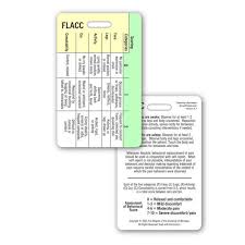 Image result for FLACC Scale
