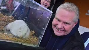Canadian Groundhog Fred La Marmotte Found Dead Before Planned Prediction |  Canada | The Guardian