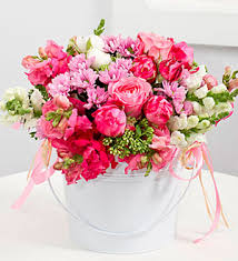 Goldsboro, north carolina census data & community profile. Green Thumb Florist Gifts Pink Dream Goldsboro Nc 27530 Ftd Florist Flower And Gift Delivery