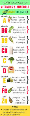 In this article, we will discuss vitamin d foods for vegetarians but before that let's look at some other major sources of vitamin d. 13 Best Vegan Vitamin Needs Ideas Nutrition Health Benefits Health
