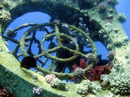 I love the look of summer decor using coral and shells. Saving The Red Sea S Coral Reefs By Building Fake Ones Israel21c