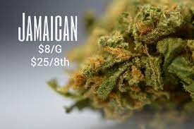 Best Jamaican Marijuana Strains Cannabisreports Org
