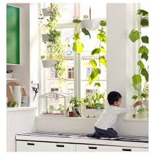 Bittergurka Ikea Osterreich Ikea Catalog Ikea Watering Can