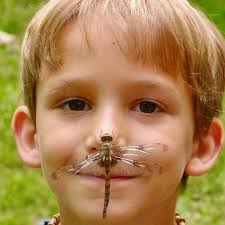 Baptist Health to expand mental-health services for young people