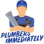 Emergency Plumber Ealing from plumbingimmediately.co.uk