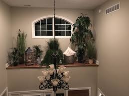 Pin By Dar Muehlhausen On Bonnie Ledge Decor Plant Ledge Plant Ledge Decorating