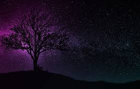Tons of awesome purple aesthetic night sky wallpapers to download for free. Purple Night Sky Wallpapers Top Free Purple Night Sky Backgrounds Wallpaperaccess