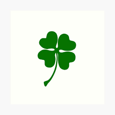 Four leaf clover framed in double glass; Creatieve Hobby S Stencil Shamrock Flower Shape Lucky Irish Celtic 4 Leaf Clover Tattoo Wall Decor Luxclusif Com