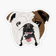 Join millions of people using oodle to find puppies for adoption, dog and puppy listings, and other pets adoption. Bulldog Gifts Merchandise Redbubble