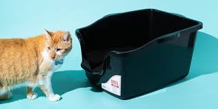 Give me a helping paw: The Best Cat Litter Boxes For 2021 Reviews By Wirecutter