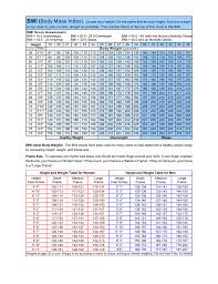 Bmi Body Mass Index