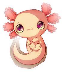 The axolotl is a type of amphibian that looks like a salamander…let's draw one! Kawaii Cute Cartoon Axolotl Kawaii Axolotl Drawing Novocom Top